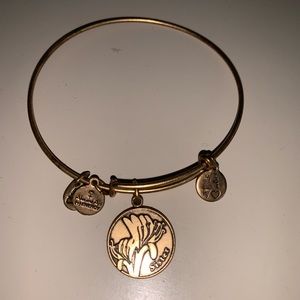 Alex and Ani sister bracelet